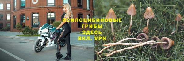 a pvp Алексеевка