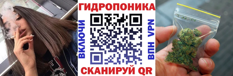Купить где  Талица  МАРИХУАНА план 